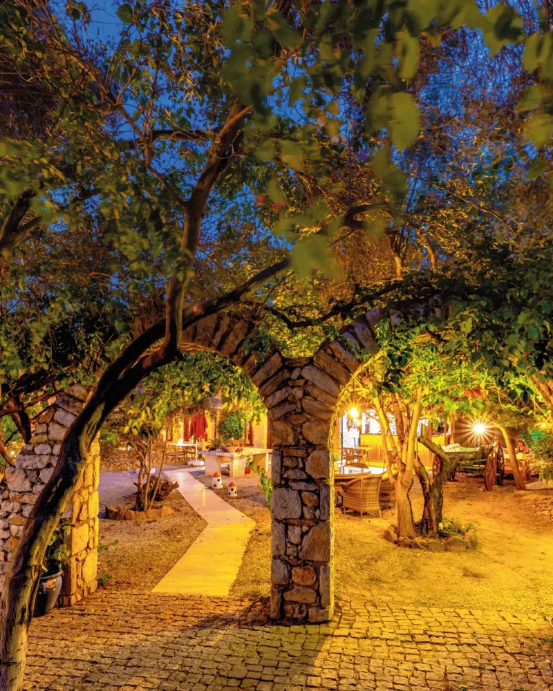 Hakkımızda-Resim-8