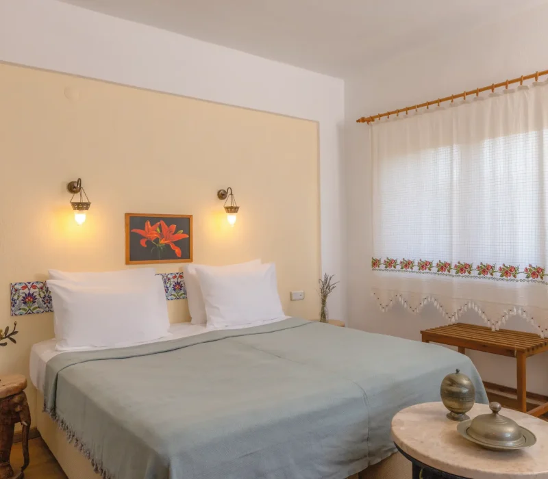 Standard-Oda-Resim-2