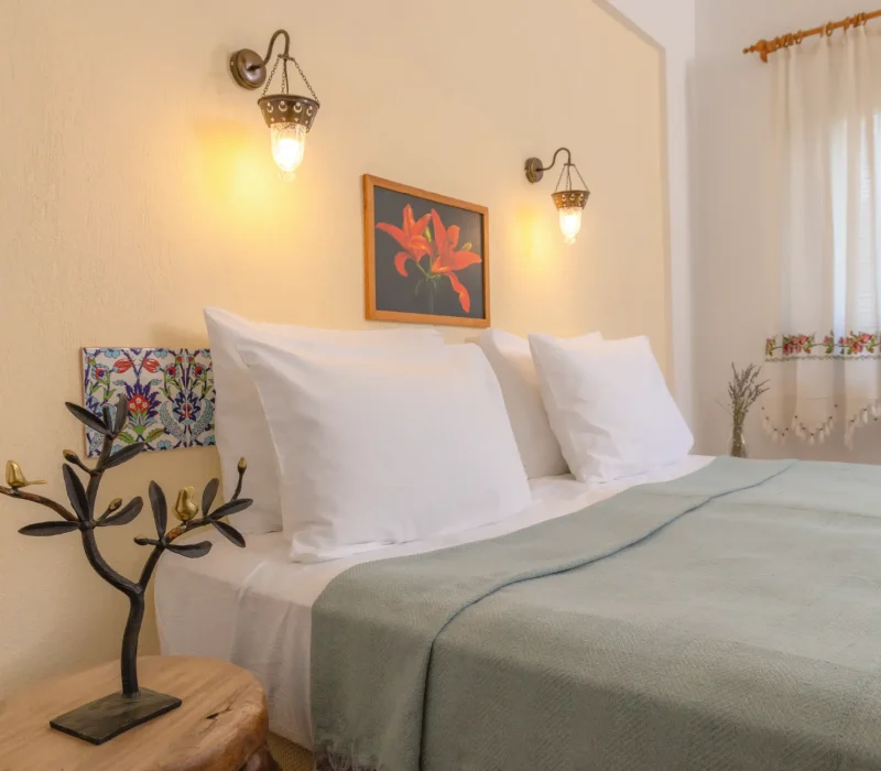 Standard-Oda-Resim-3